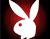 Erotiniai Playboy Bunny