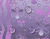 Floral Purple Background