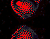 Red Heart And Butterflies