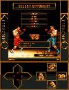 Klitschko Boxing