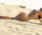 Blagovesta Bonbonova Naked On Beach